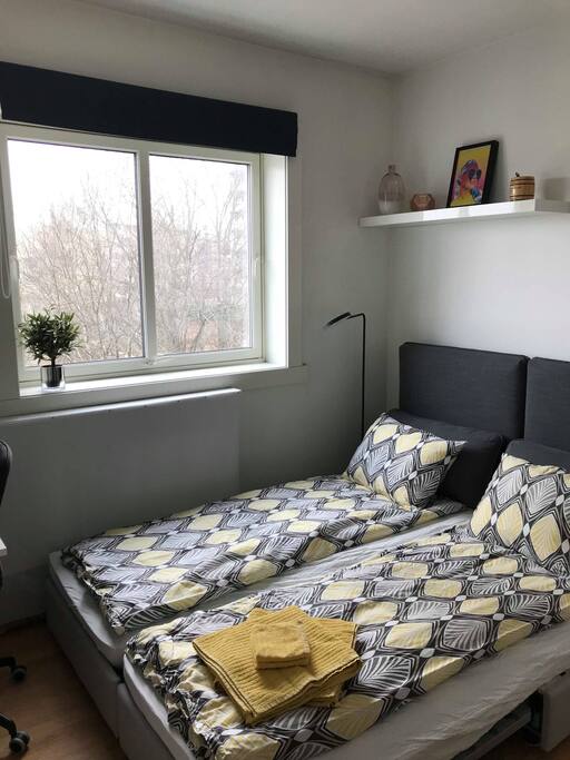 Guest room - bed pulled out
