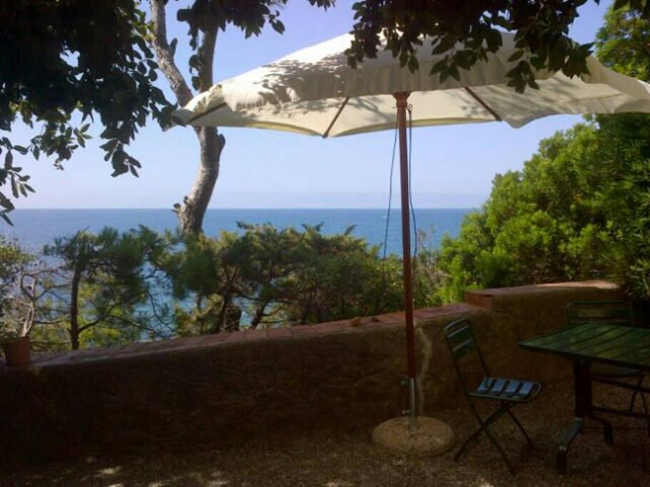 View from the Top Garden
