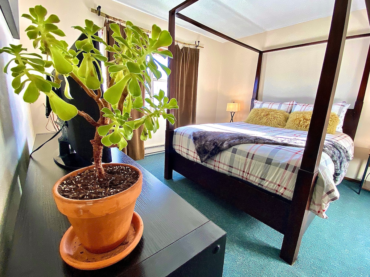 A cozy bedroom is highlighted by a four-poster bed with a plaid bedspread. A potted plant sits on a dark wood dresser, adding a touch of greenery. Soft lighting from a bedside lamp enhances the inviting atmosphere, complemented by dark curtains framing the window.