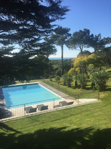 Luxury villa, sea view, private garden 5m to beach gallery image 2