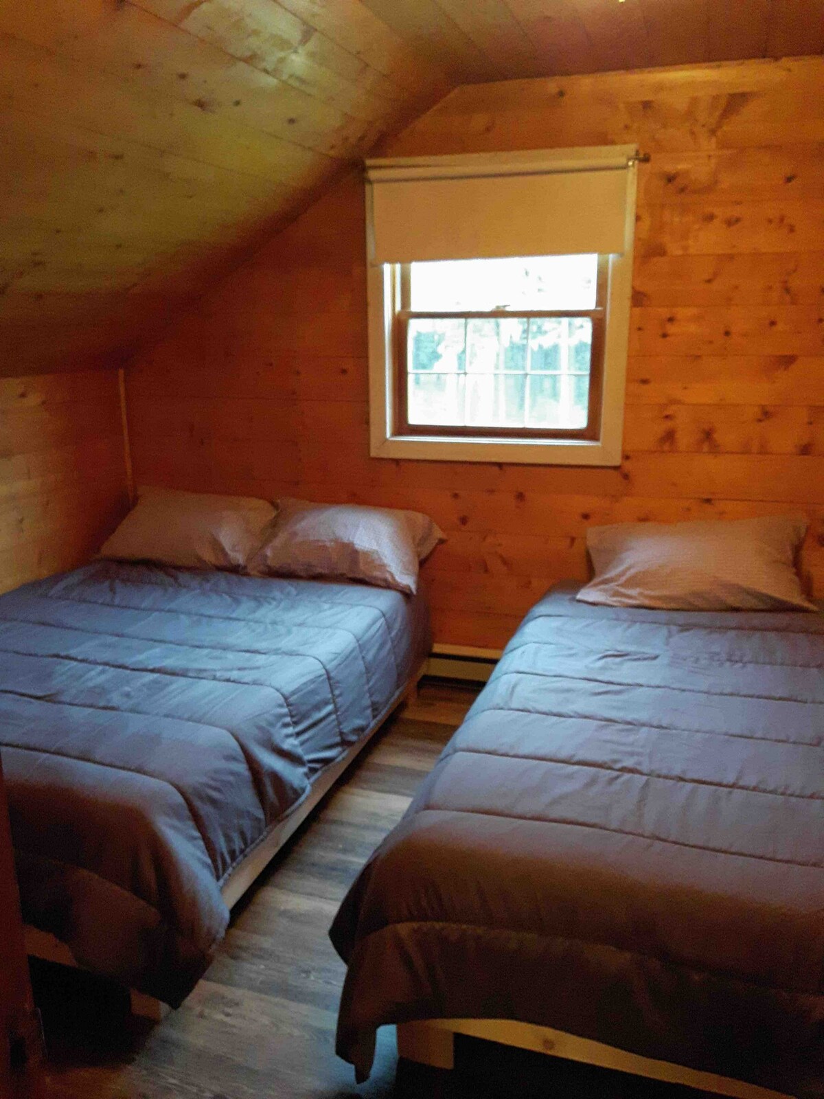 1号客房（ 1张单人床和1间客房）