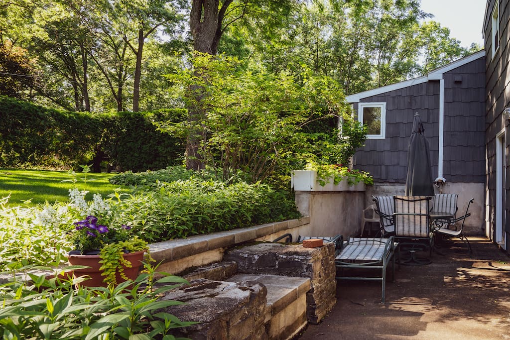 Backyard, outdoor seating area.