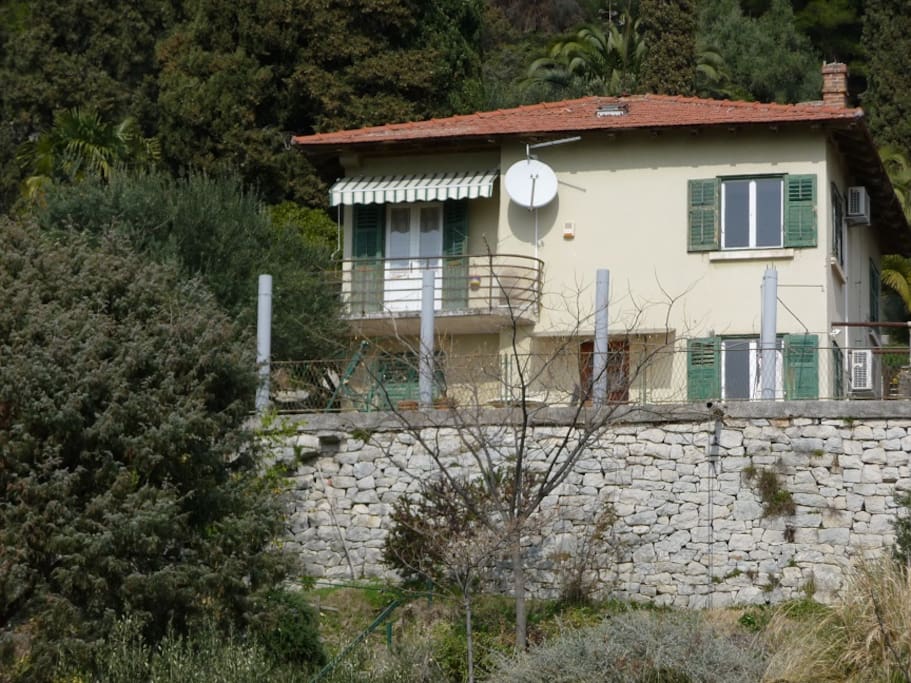 The house.