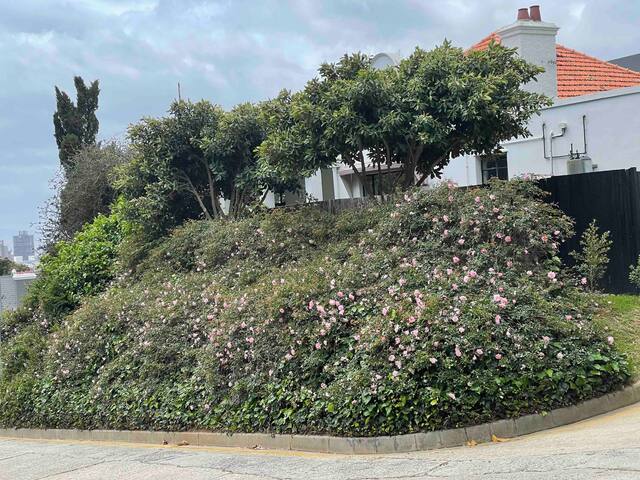 Tamboerskloof house gallery image 5