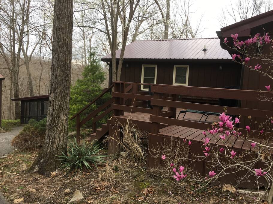 deck and gas grill back of house