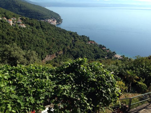 Rustic Chic Apartment with a View