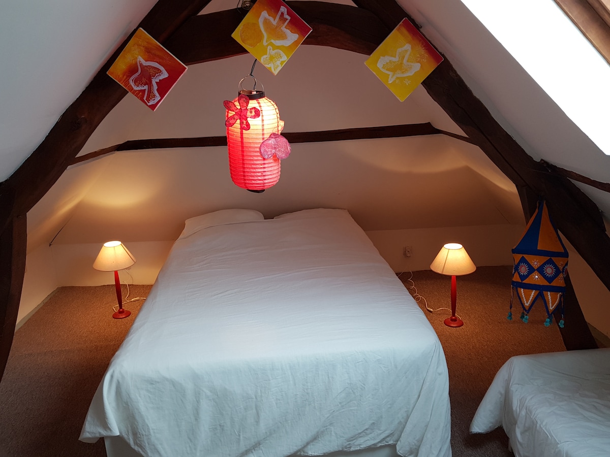 Стая „Птица“