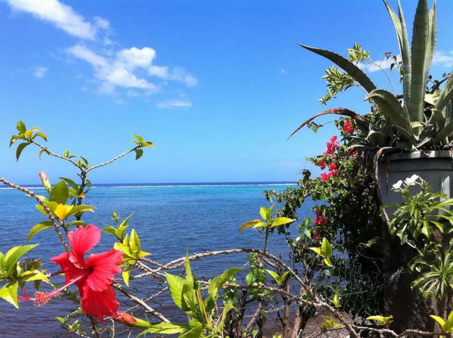 Vue à 180° sur le lagon de Paea