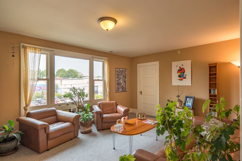 Living room greenery