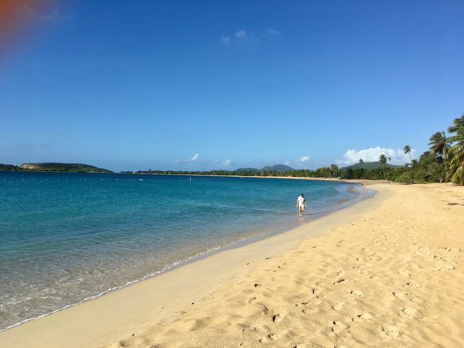 Sun Bay from the other side. You'll see many wild horses on the dirt road that parallels part of the beach.