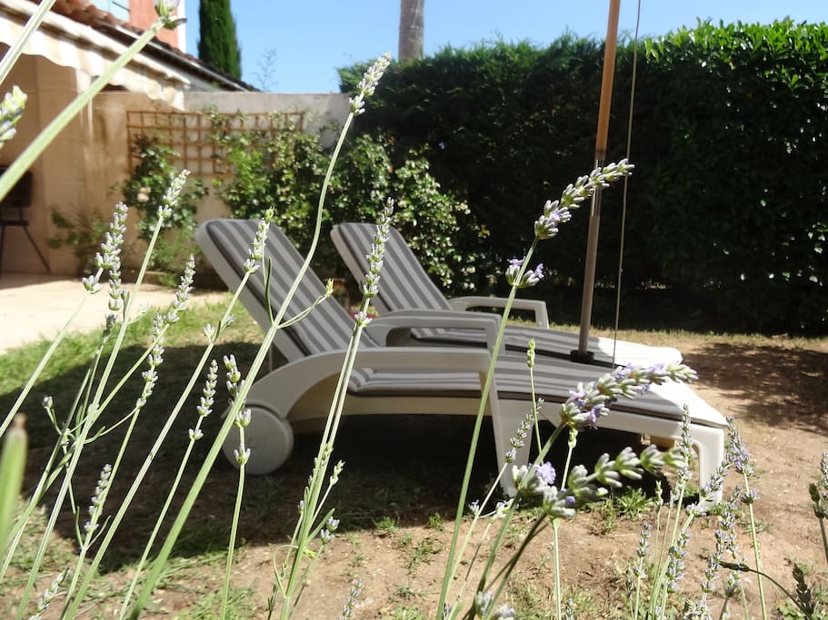 Jardin