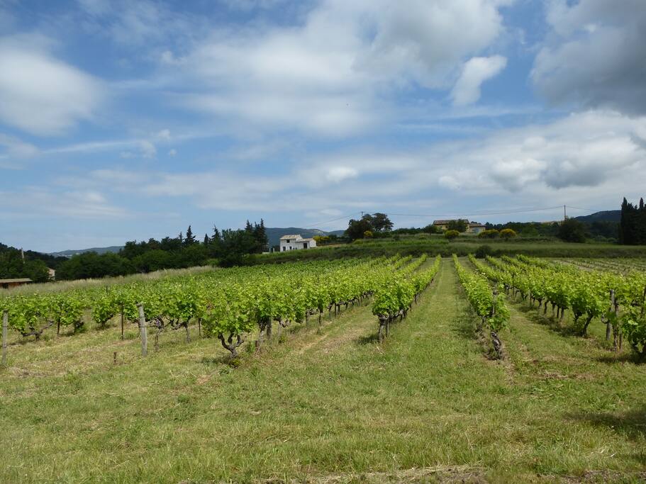 aucun vis à vis