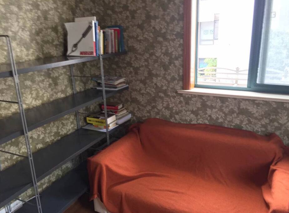 Huge bookshelf and a couch. Feel free to read my books