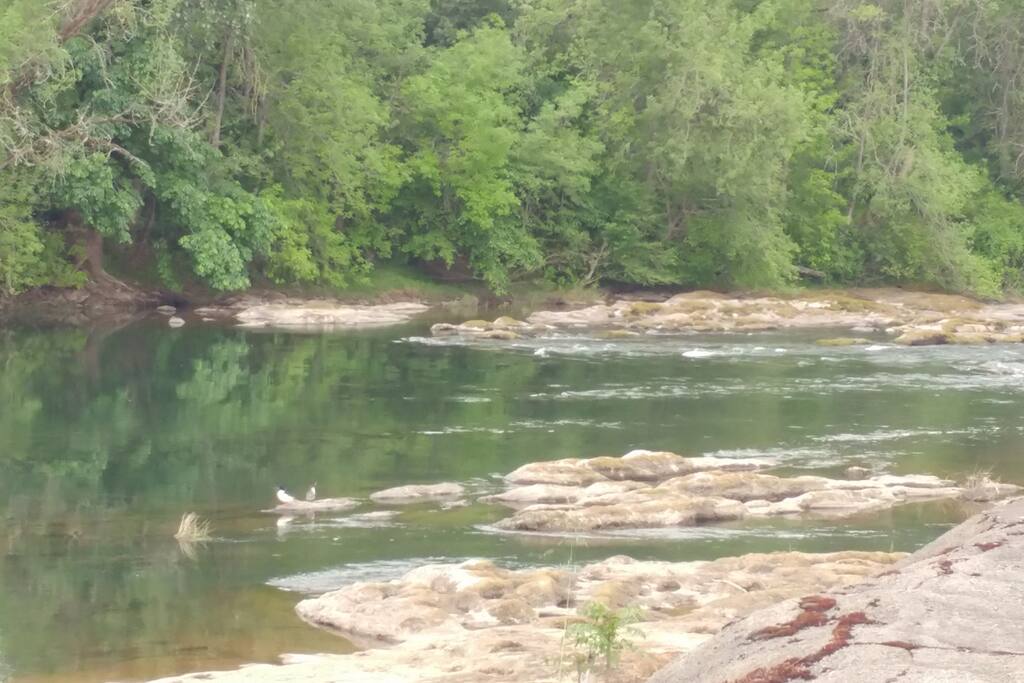 2 miles from Wildlife Safari