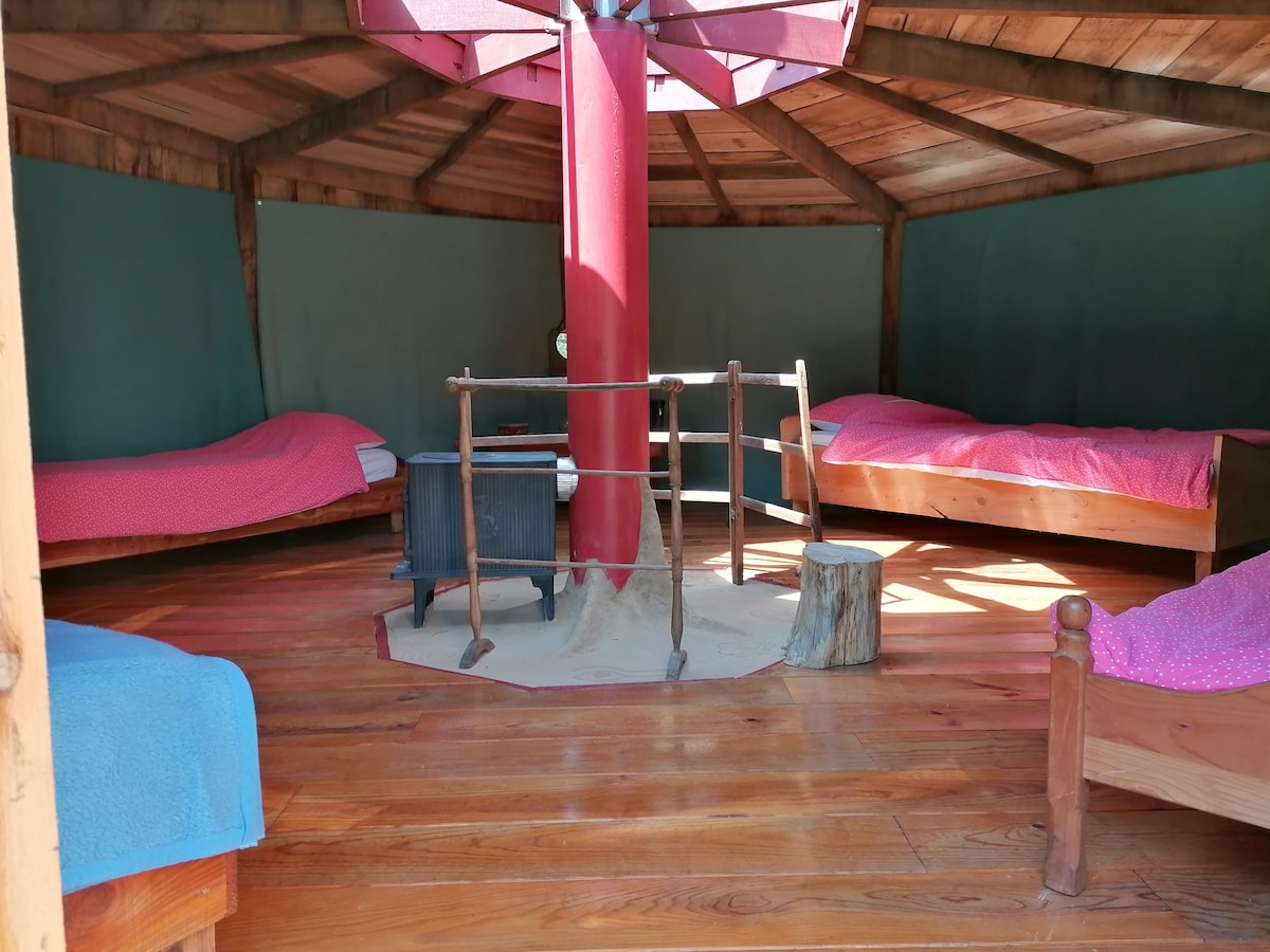 Uso mwepesi katika paa hutoa nafasi nzuri inang 'aa 