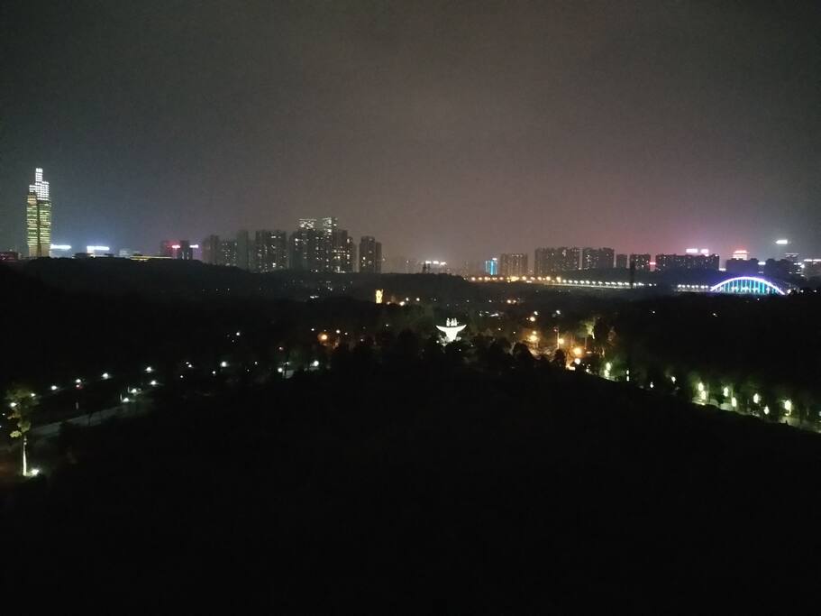 超宽无敌大阳台尽显观山公园绿植林荫美景,夜景还是那么的迷人。
