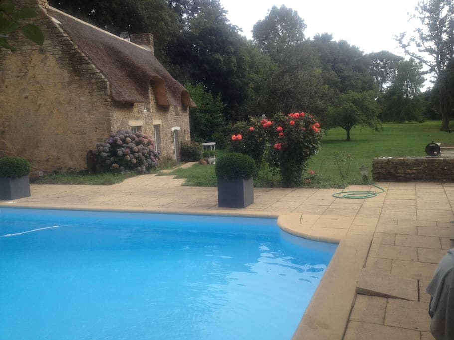 Piscine chauffée avec nage à contre courant!
