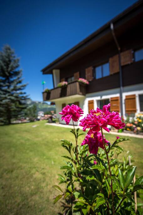 Chalet Adler