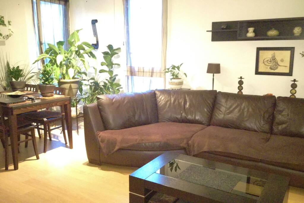 Salon