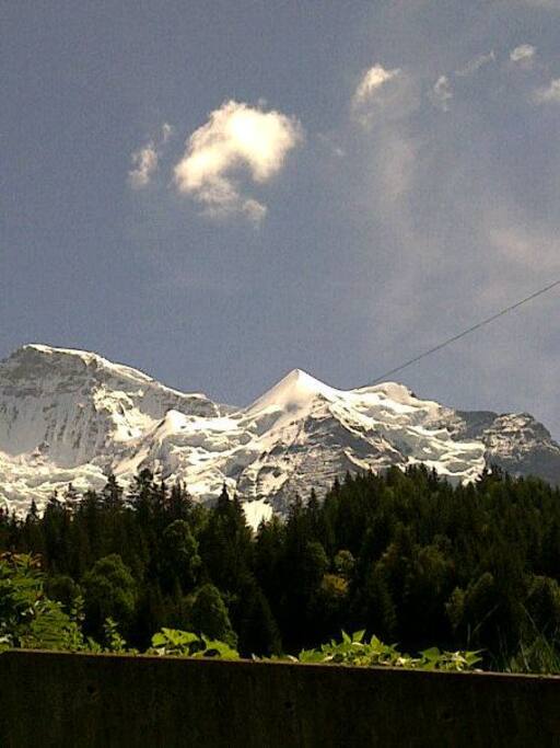 Balcony view in summer (left)