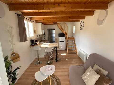Successful Airbnb property: Tiny house close to the beach in Plougonvelin