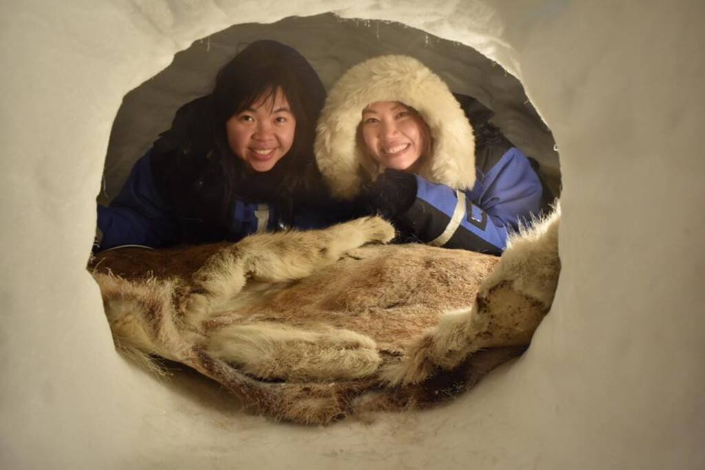 Igloo experience