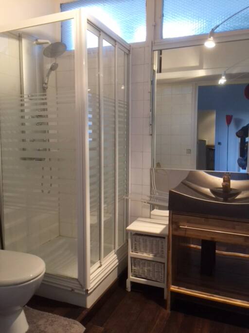 Salle de douche avec vasque et toilette