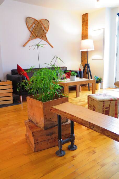 Salon / Living room