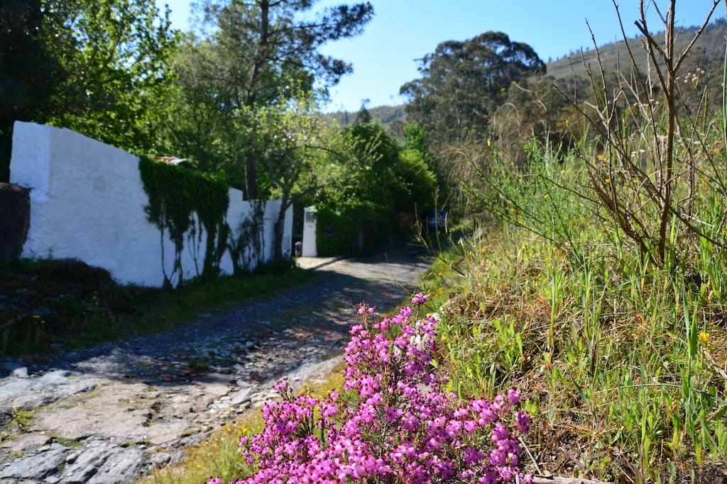 Street