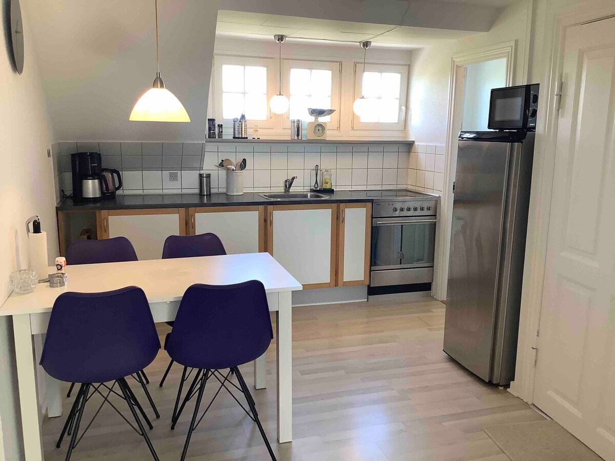 A modern kitchen is equipped with stainless steel appliances, including a refrigerator and an oven. A table with four purple chairs is positioned in the foreground, while natural light enters through multiple windows, illuminating the space.