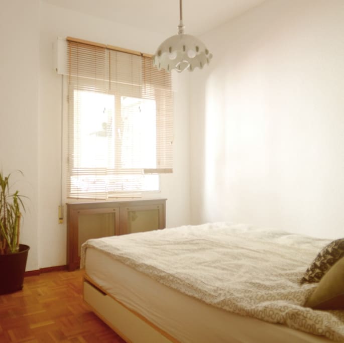 La habitación tranquila y luminosa