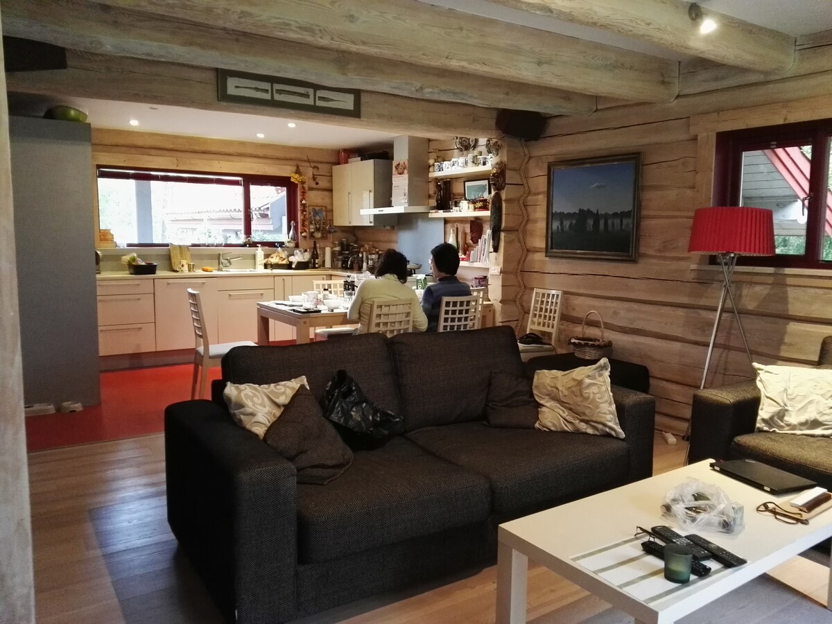 Sala de estar con cocina abierta