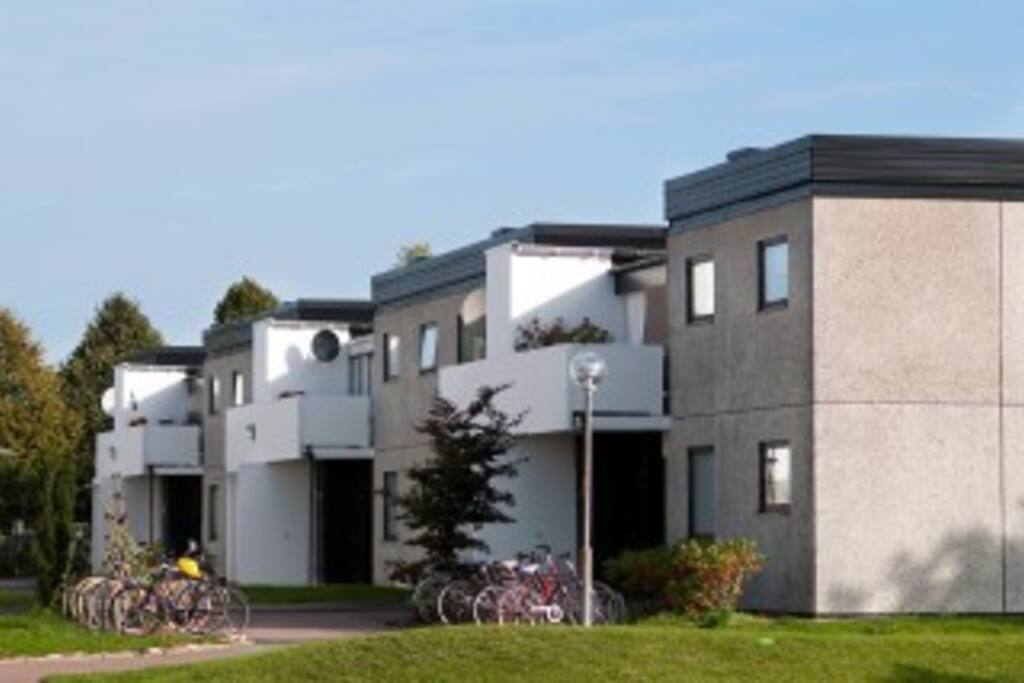 Outside view