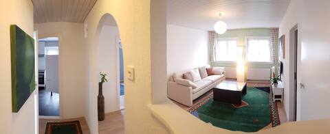 Charming apartment in Schlieren close to Zurich