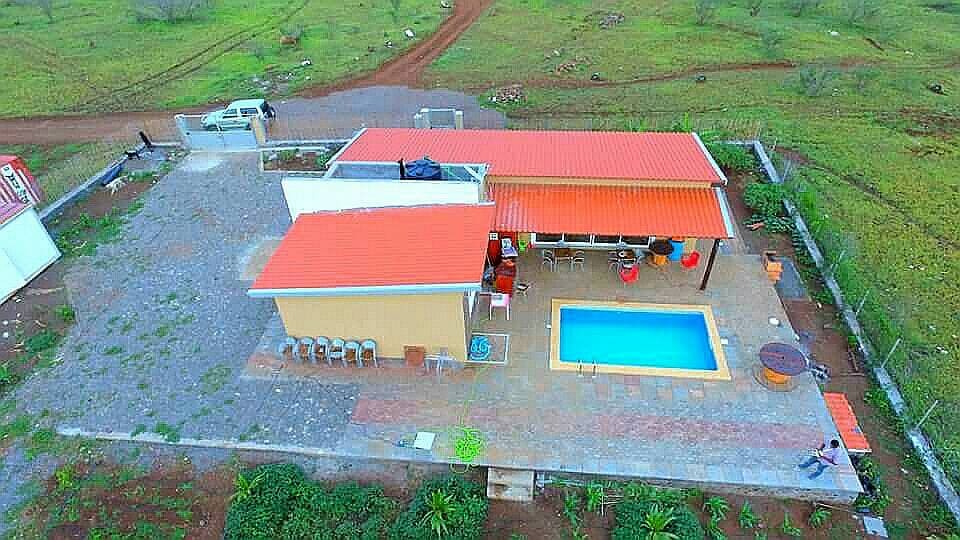 An aerial view captures a modern home with a red-tiled roof surrounded by greenery. A private pool is centrally located, accompanied by a patio area with seating. Gravel pathways and a driveway lead to the property, emphasizing the spacious outdoor surroundings.