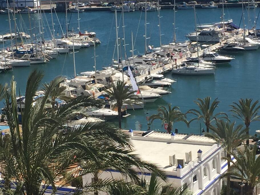 View from the terrace / dining area