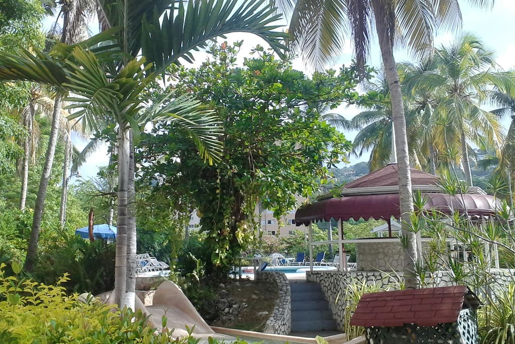 View of pool