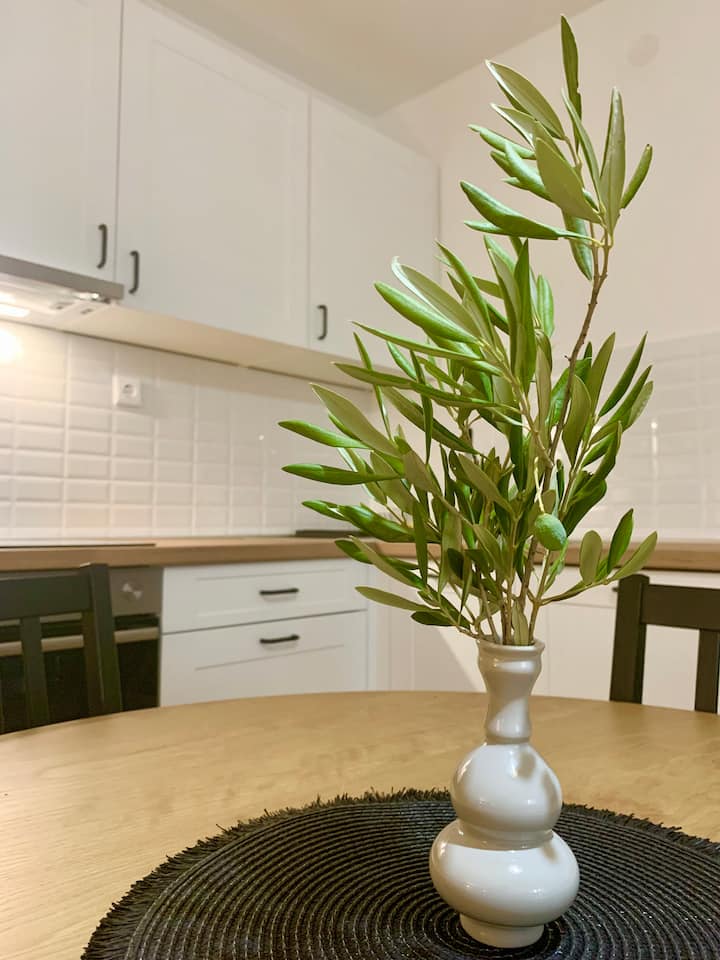 2BR Apartment near the beach