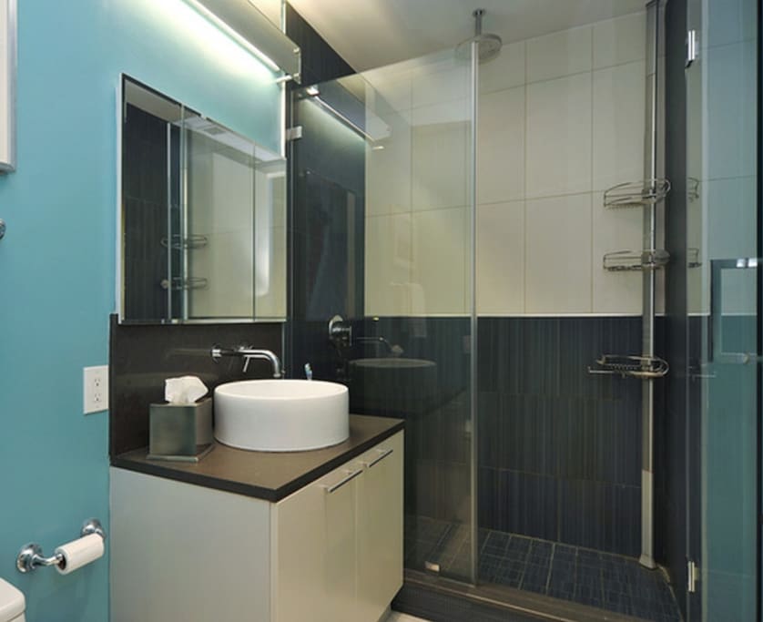 Private bathroom in hallway for side room