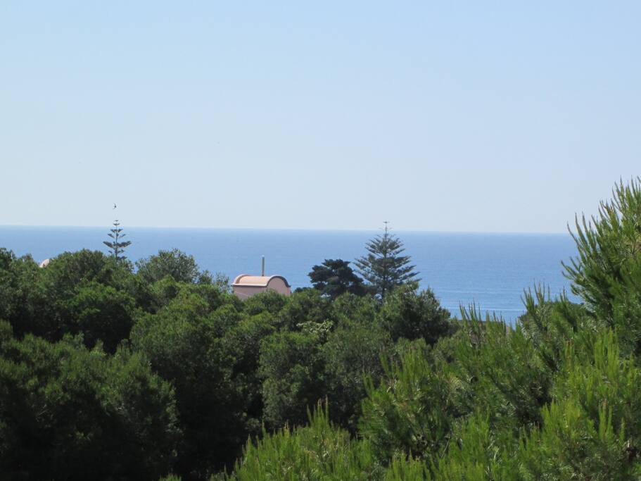 Vistas desde la terraza