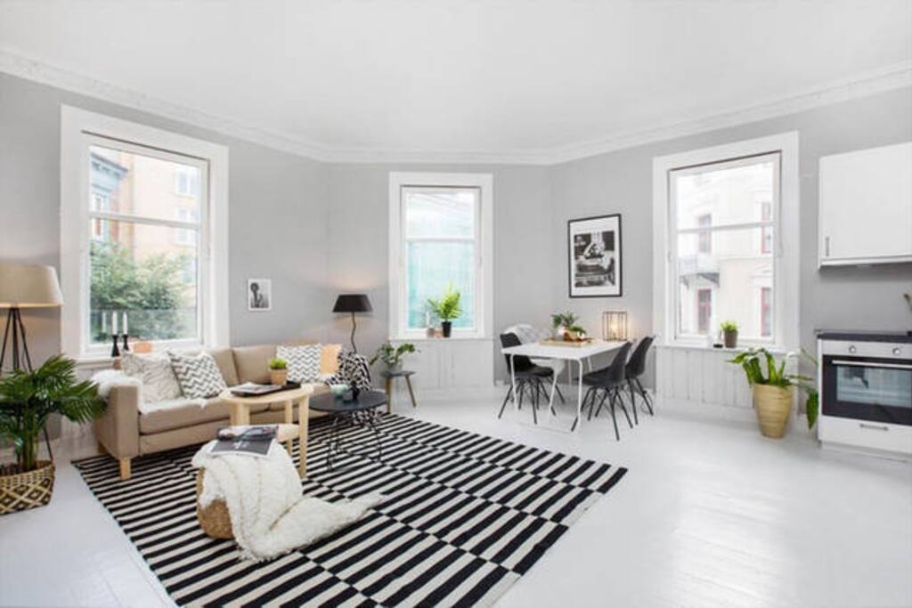 Living room with kitchen (all necessities in the kitchen)