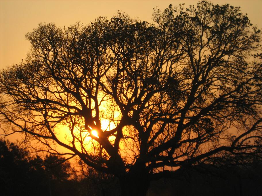 Sunset over the back paddock
