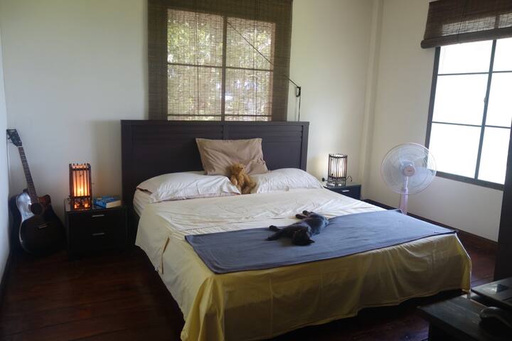 Abgeschiedener kleiner Bungalow im Dschungel - Airbnb