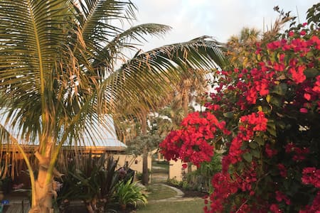 The Cottage in Cocoa Beach Orlando's Closest Beach