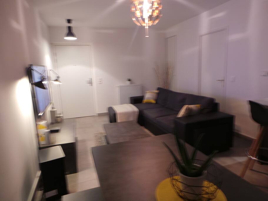 salon avec canapé lit