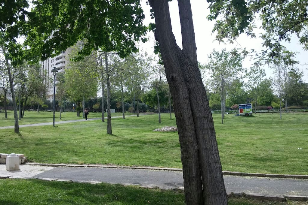 Ha'atzmaut Park right across the street
