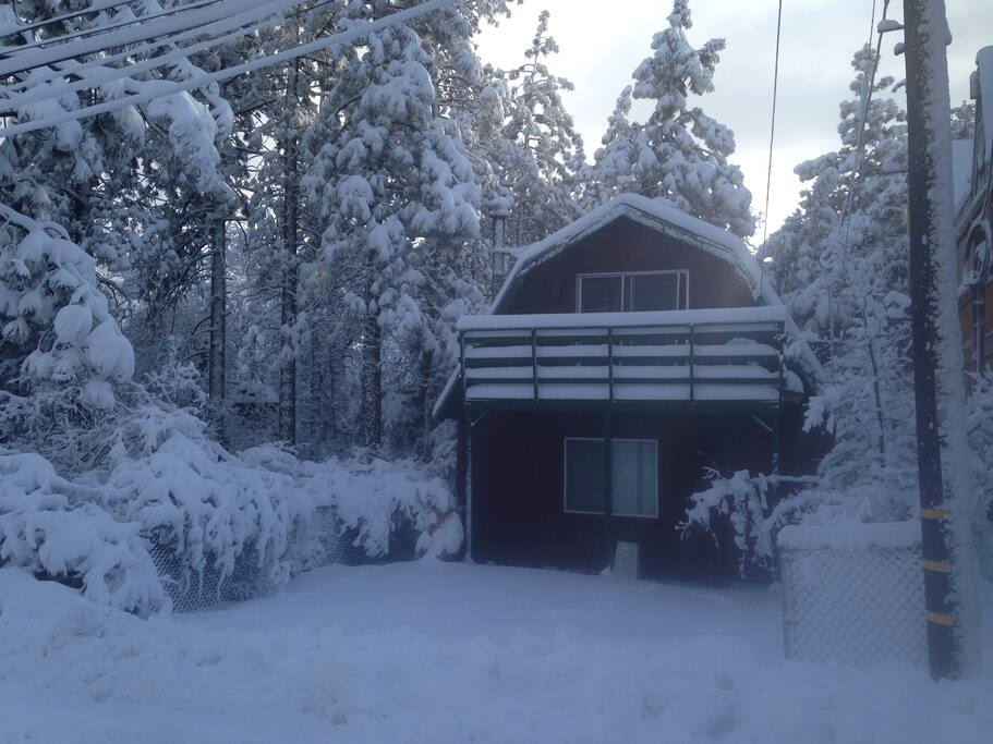 Front View Middle of winter