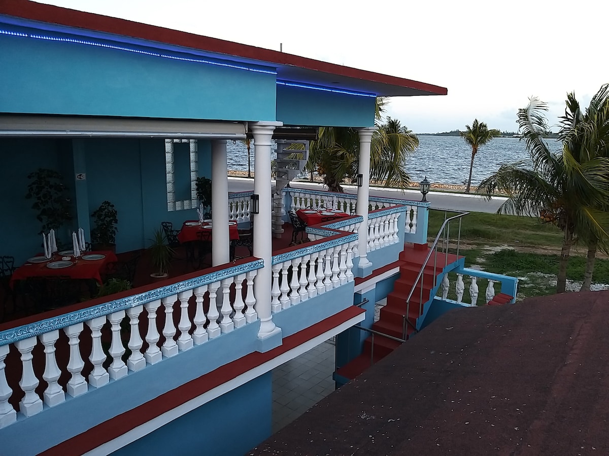 A vibrant terrace with a scenic view of the water is framed by white railings and decorated dining tables. The light-blue structure features a staircase leading down, with palm trees swaying nearby, enhancing the tropical ambiance of the area.