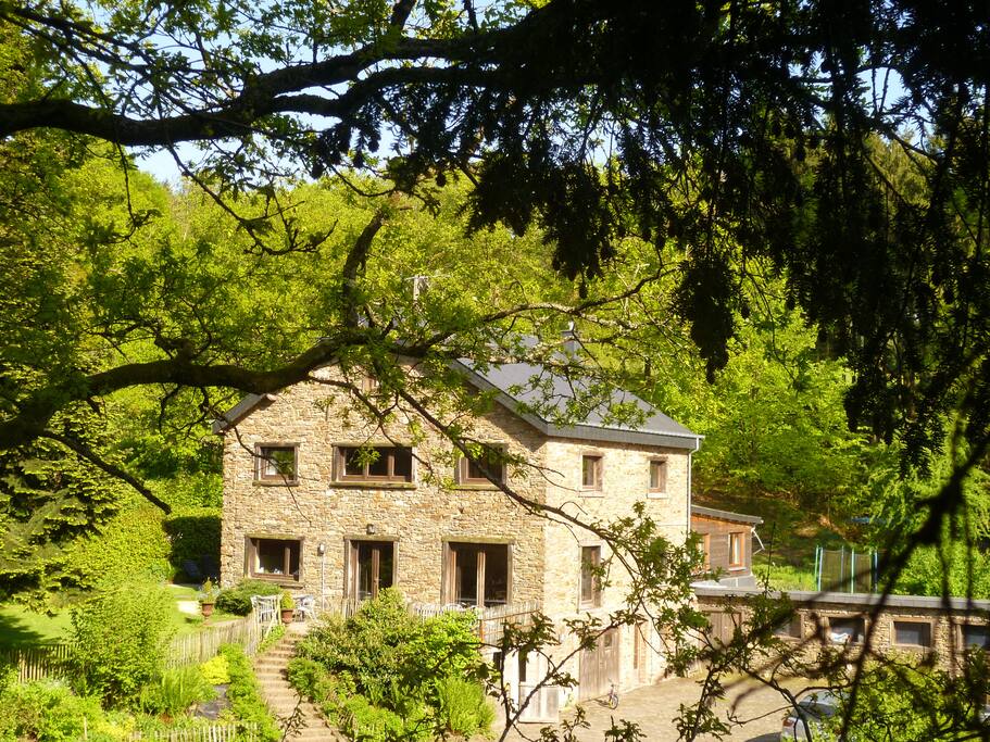 vue de la maison depuis le sapin