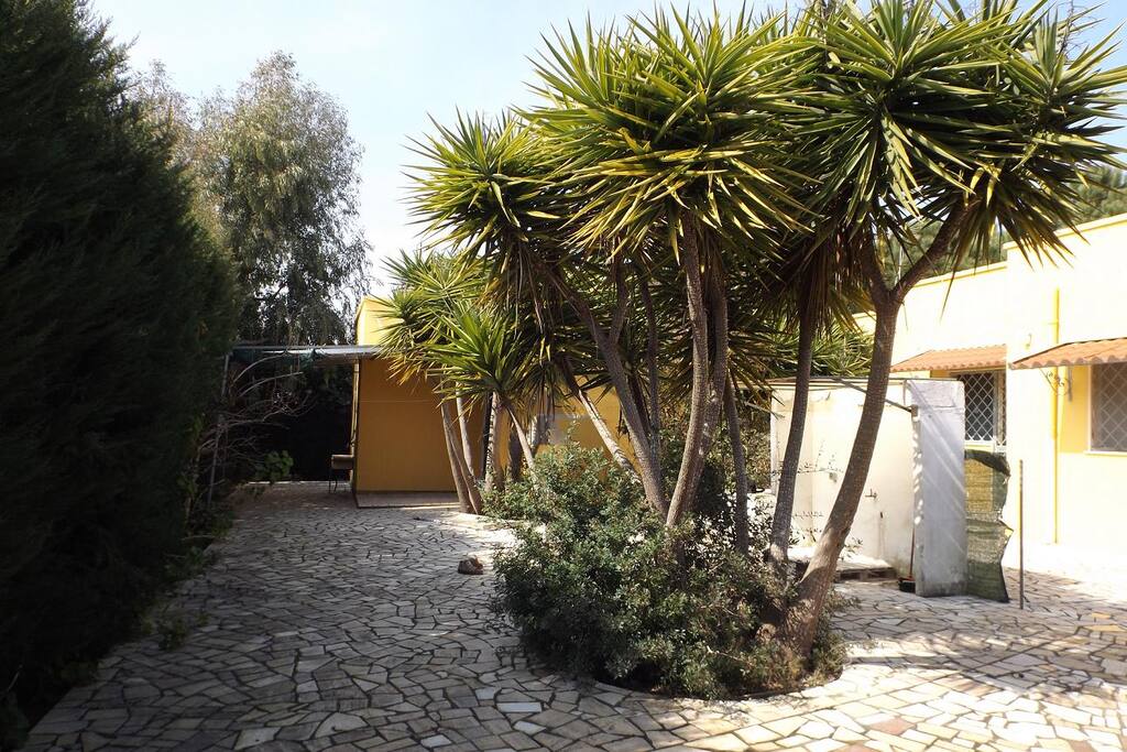 cortile